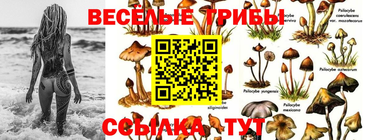 Псилоцибиновые грибы мухоморы  Вход с VPN  хочу наркоту  Псилоцибиновые грибы Magic Shrooms  Шелехов 